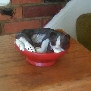 CAT in a Bowl Figurine